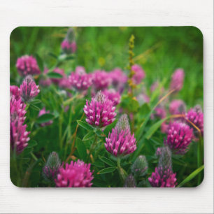 Frühjahrsfeld Mousepad