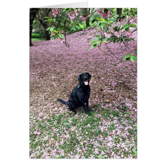 Frühjahrsferien (Vorne)