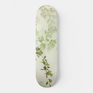 Frühjahrsfolien Skateboard