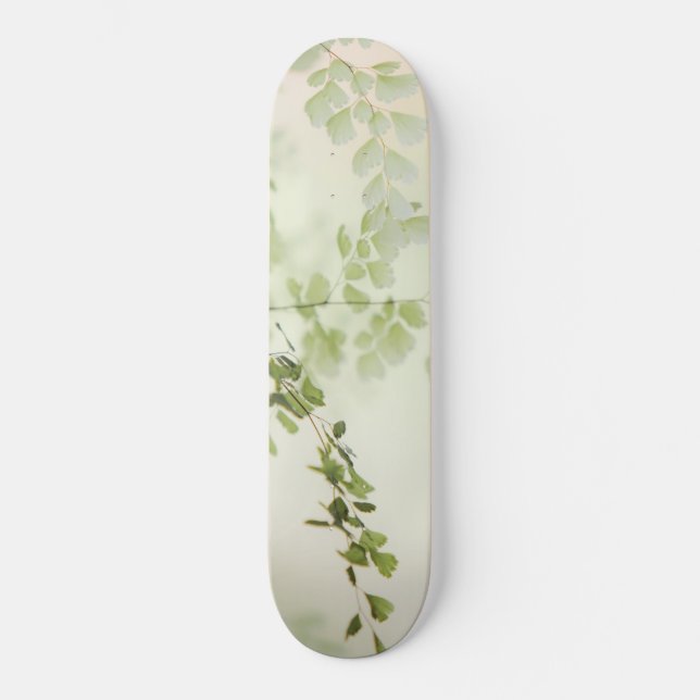 Frühjahrsfolien Skateboard (Vorderseite)