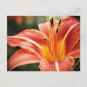 Frühjahrsgedichte Postkarte