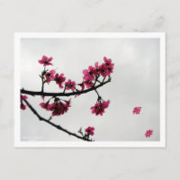 Frühjahrsgrüße/Kirschblüten Kanji