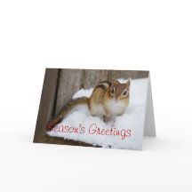 Frühjahrsgrüße Kleiner Chipmunk im Schnee
