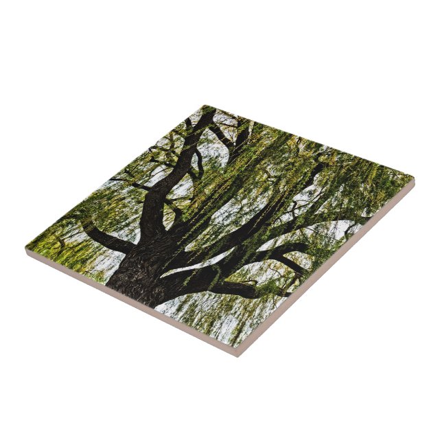 Frühjahrshoffnungen gedämpft fliese (Seite)