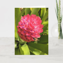 Frühjahrskarte Nr. 3 (innen leer) Karte