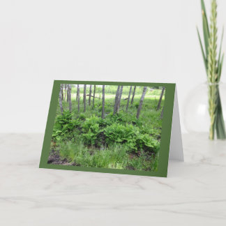 Frühjahrskarten in Wisconsin Blank Note Card Karte