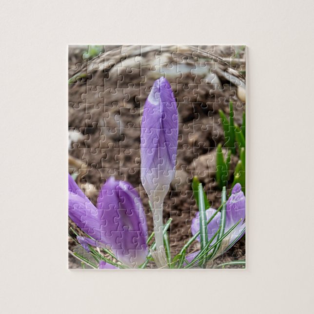Frühjahrskreuzze Puzzle (Vertikal)