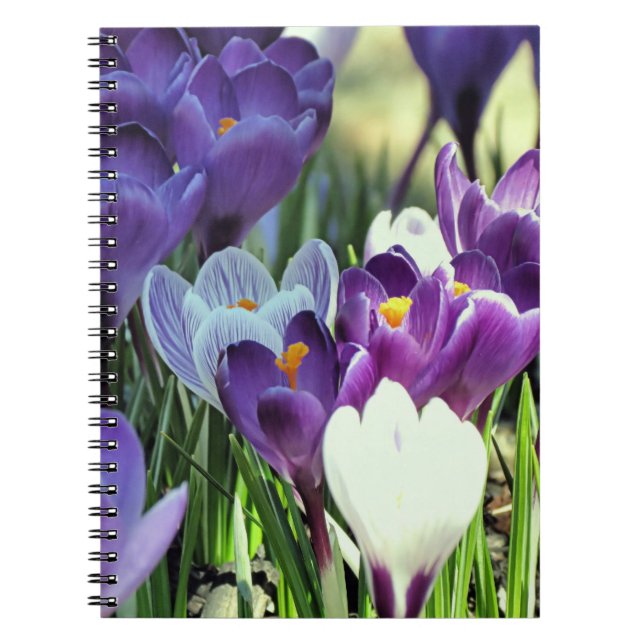 Frühjahrskurse - Notebook Notizblock (Vorderseite)