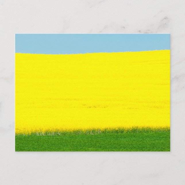 Frühjahrslandschaft Postkarte (Vorderseite)