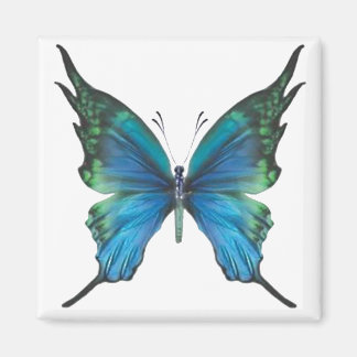 Frühjahrsmomst Magnet