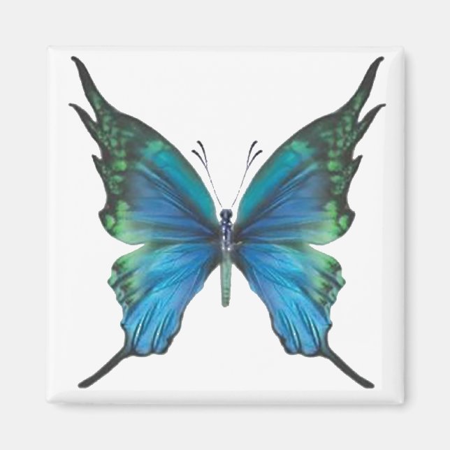 Frühjahrsmomst Magnet (Vorne)