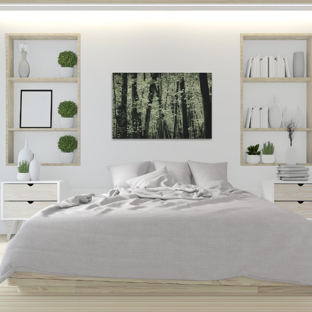 Frühjahrspflanzen Leinwanddruck (Von Creator hochgeladen)