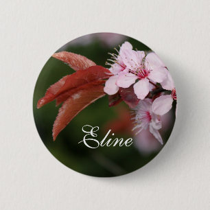 Frühjahrsrosa Pflaumenblüten Button
