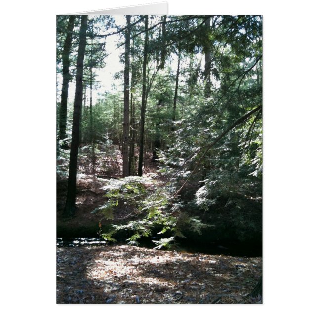 Frühjahrsspaziergang (Vorne)