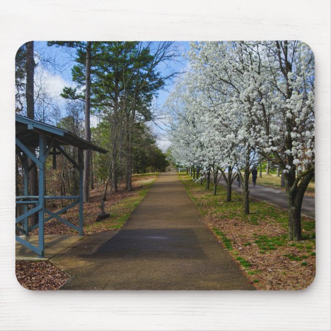 Frühjahrsspaziergang Mousepad (Vorne)