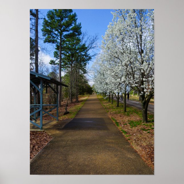 Frühjahrsspaziergang Poster (Vorne)