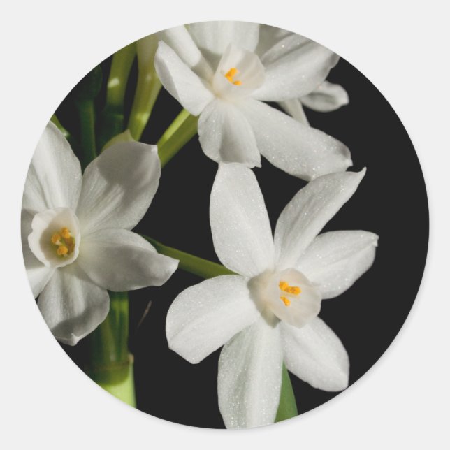 Frühjahrsveranstaltung der White Blume und Hochzei Runder Aufkleber (Vorderseite)