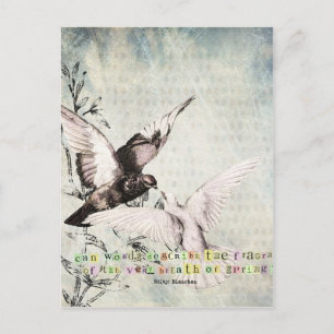 Frühjahrsvögel Postkarte