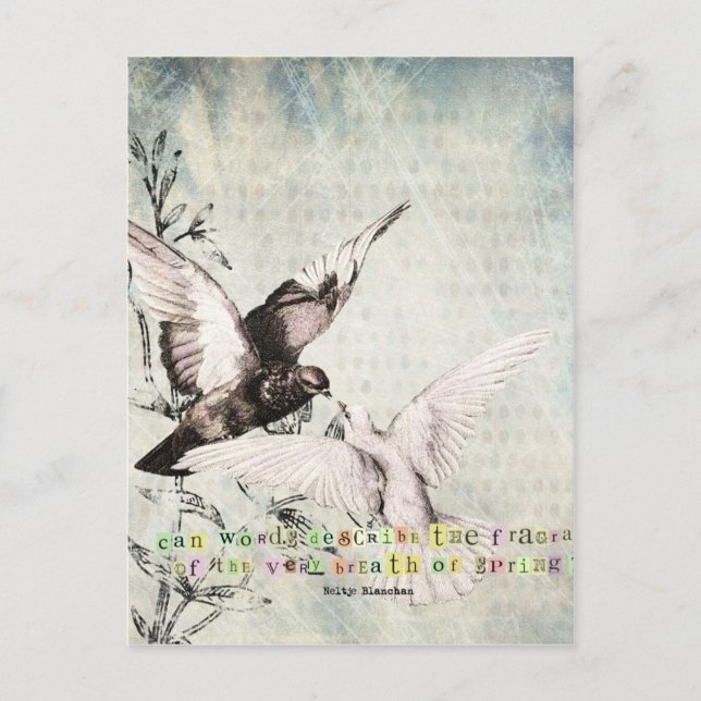 Frühjahrsvögel Postkarte (Vorderseite)