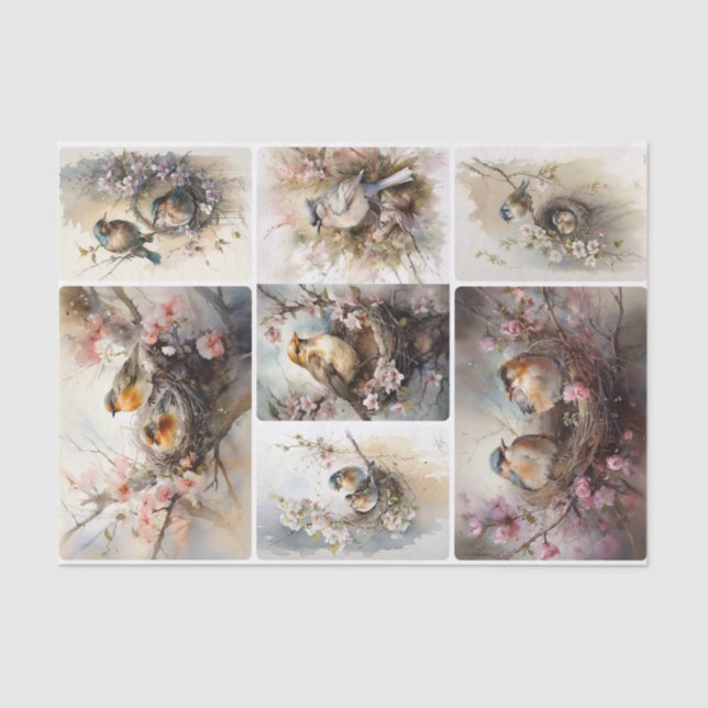 Frühjahrsvögel Seidenpapier (Vorderseite)