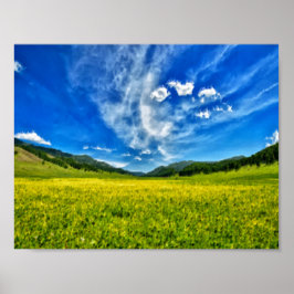 Frühjahrswiese und blauer Himmel Poster