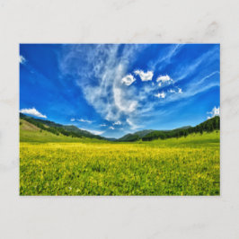 Frühjahrswiese und blauer Himmel Postkarte