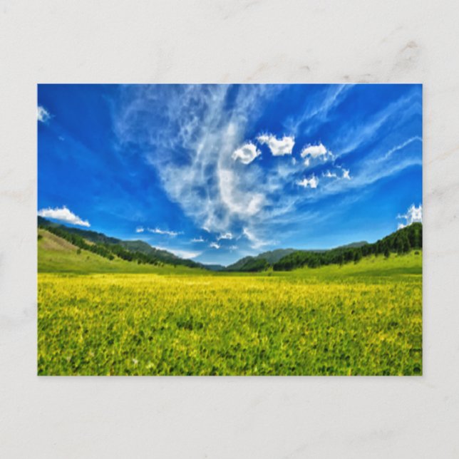 Frühjahrswiese und blauer Himmel Postkarte (Vorderseite)