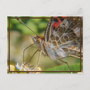 Frühjahrszeit Postkarte