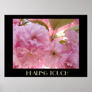 Frühling 13 Rosa Fluffige Blüten DSC04353, HEILEND Poster