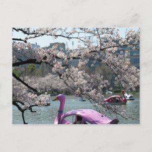 Frühling am Shinobazu-Teich: Ueno, Tokio Postkarte