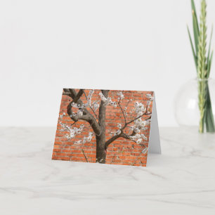 Frühling Aprikosenbaum Roter Backsteinmauer Dankeskarte