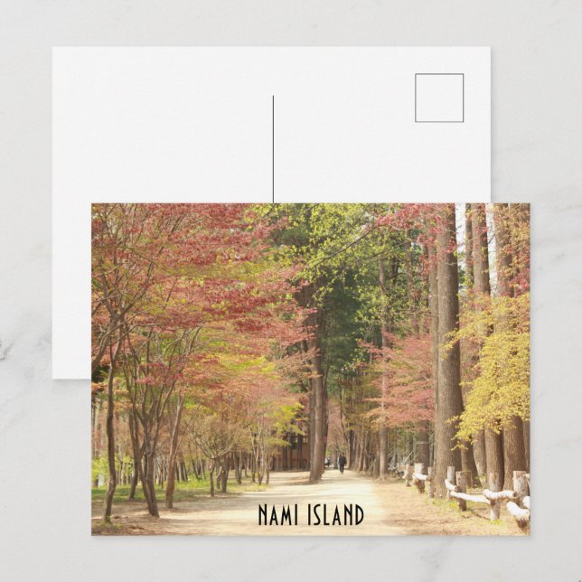 Frühling auf der Postkarte von Nami Island (Vorne/Hinten)