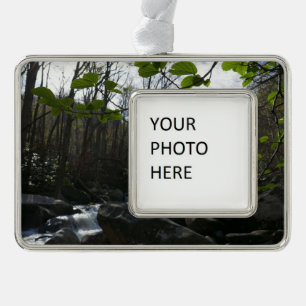 Frühling Blätter am Kleinen Taubenfluss Rahmen-Ornament Silber