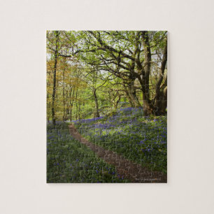 Frühling Bluebellholz Puzzle