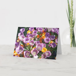 Frühling blüht eins feiertagskarte