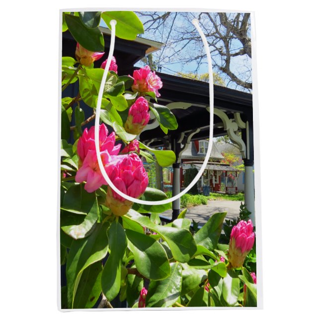 Frühling blüht in der Hütte City - Martha's Vineya Mittlere Geschenktüte (Vorderseite)