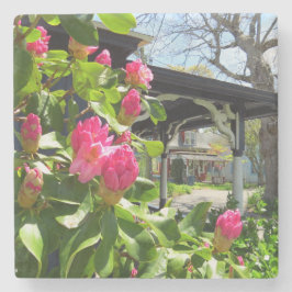 Frühling blüht in der Hütte City - Martha's Vineya Steinuntersetzer