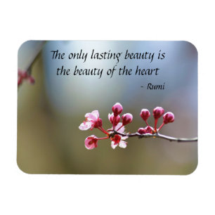 Frühling blüht Schönheit Magnet