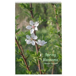 Frühling blüht Wandkalender durch Janz