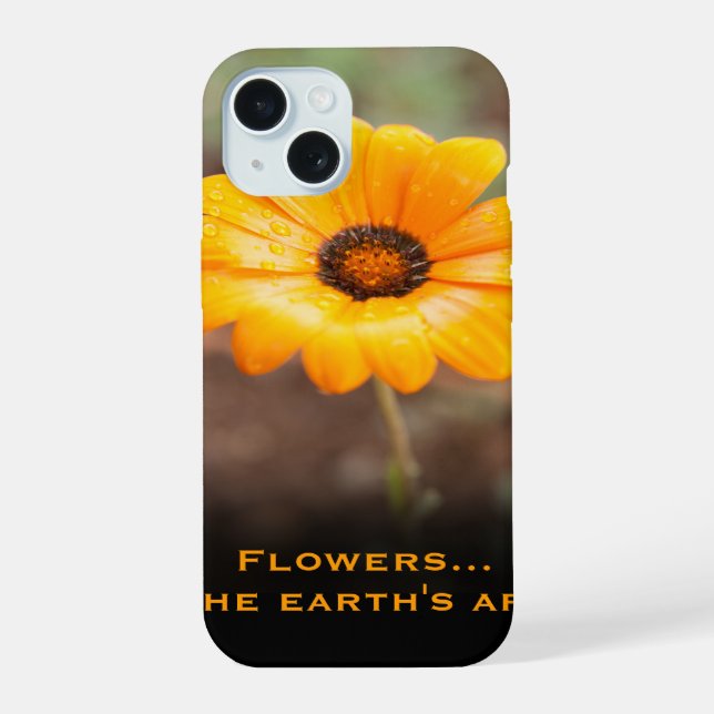 Frühling Flash Afrikanische Gänseblümchen Nahaufna iPhone 15 Hülle (Rückseite)