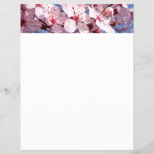 Frühling Flyer Papier Rosa Baum Blüten Blauer Himm