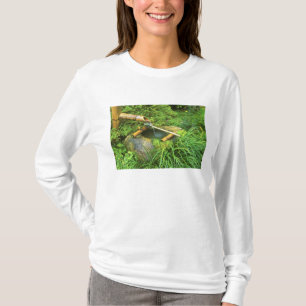 Frühling für Teezeremonie, Sanzen-in-Tempel, T-Shirt