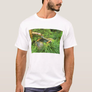 Frühling für Teezeremonie, Sanzen-in-Tempel, T-Shirt