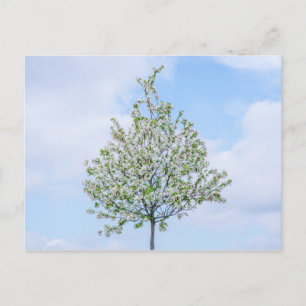 Frühling - Happy Oaster Feiertagspostkarte