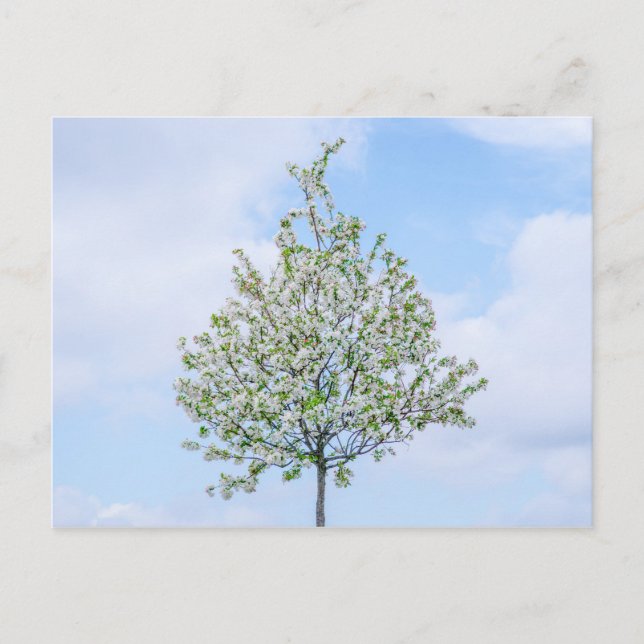 Frühling - Happy Oaster Feiertagspostkarte (Vorderseite)