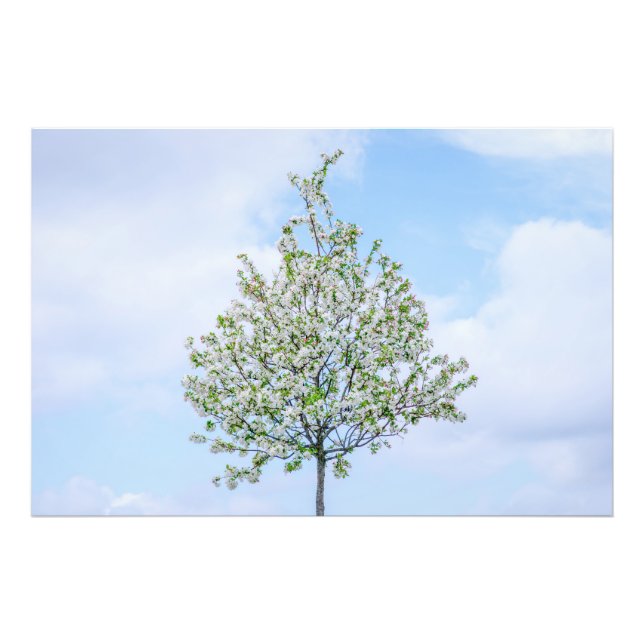 Frühling - Happy Oaster Fotodruck (Vorne)