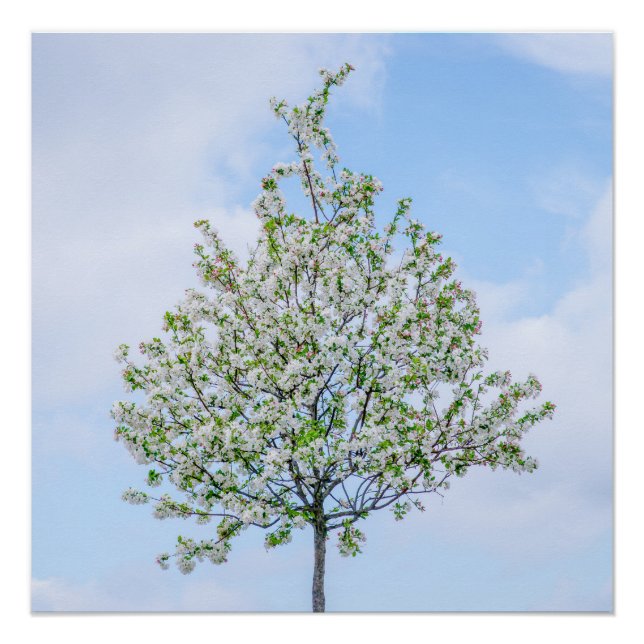 Frühling - Happy Oaster Poster (Vorderseite)