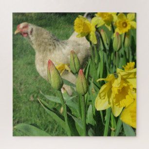 Frühling, Huhn, Tier, Küken, Vögel, Bauernhof, nie Puzzle