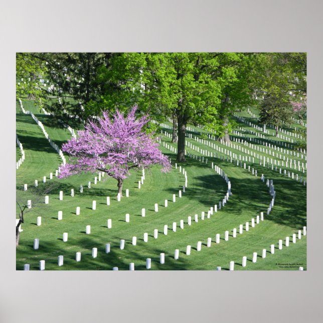 Frühling im Arlington National Friedhof Poster (Vorne)
