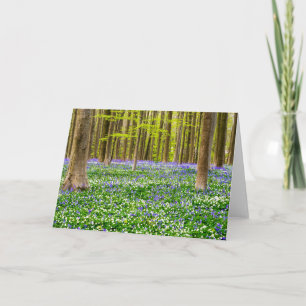 Frühling im blauen Wald Karte